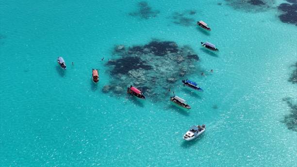  Boat Travel Around Zanzibar 2026–2027 